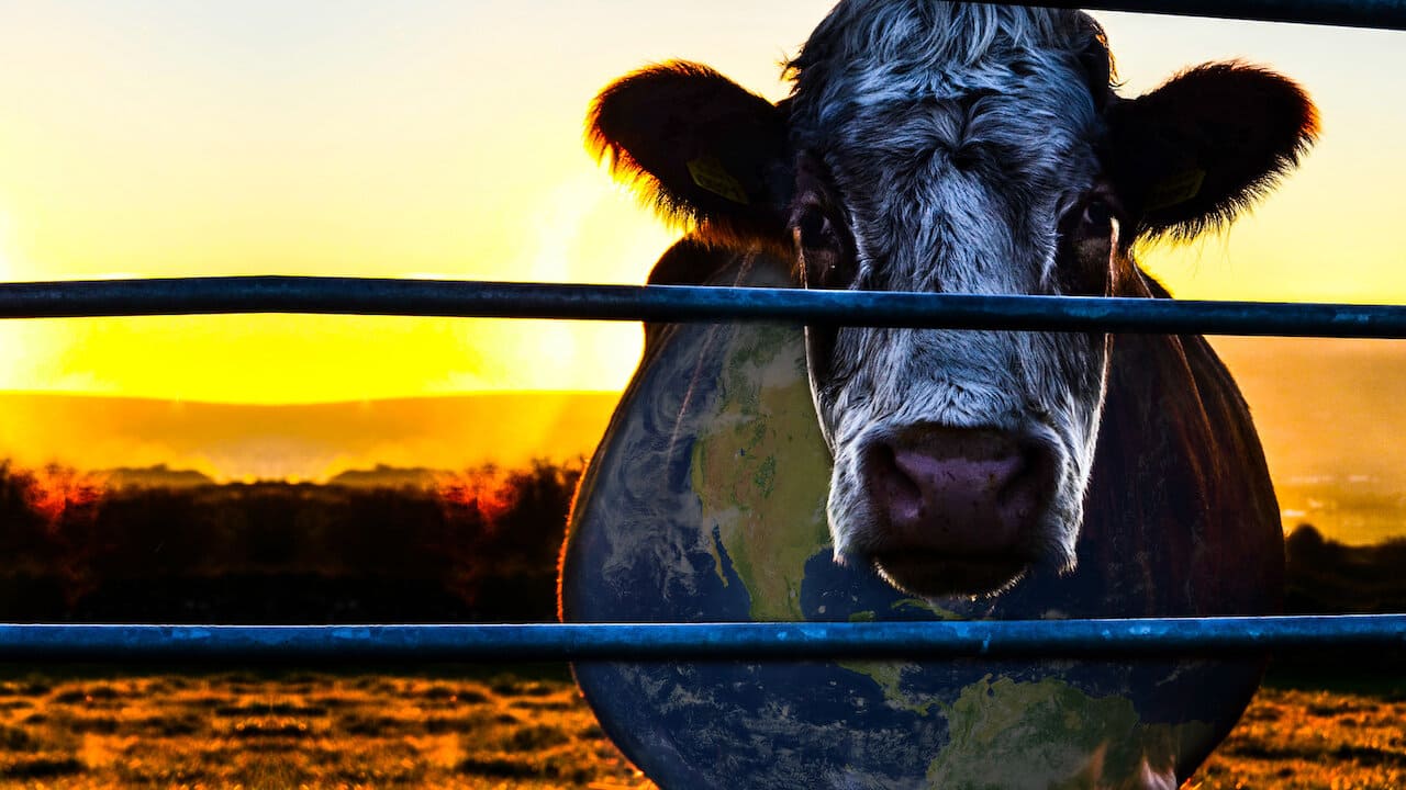 imagen de cowspacy como cabezera de pagina de documentales recomendados
